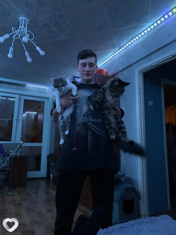 Альбик