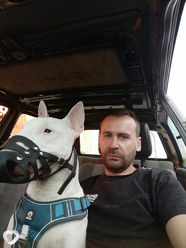 Демид