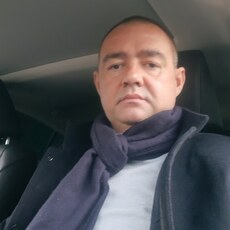 Давид