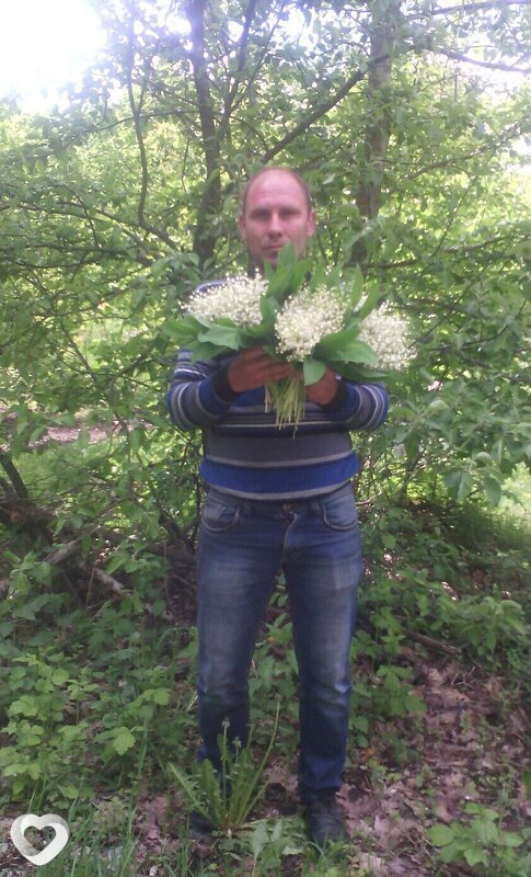 Альбик