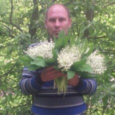 Альбик
