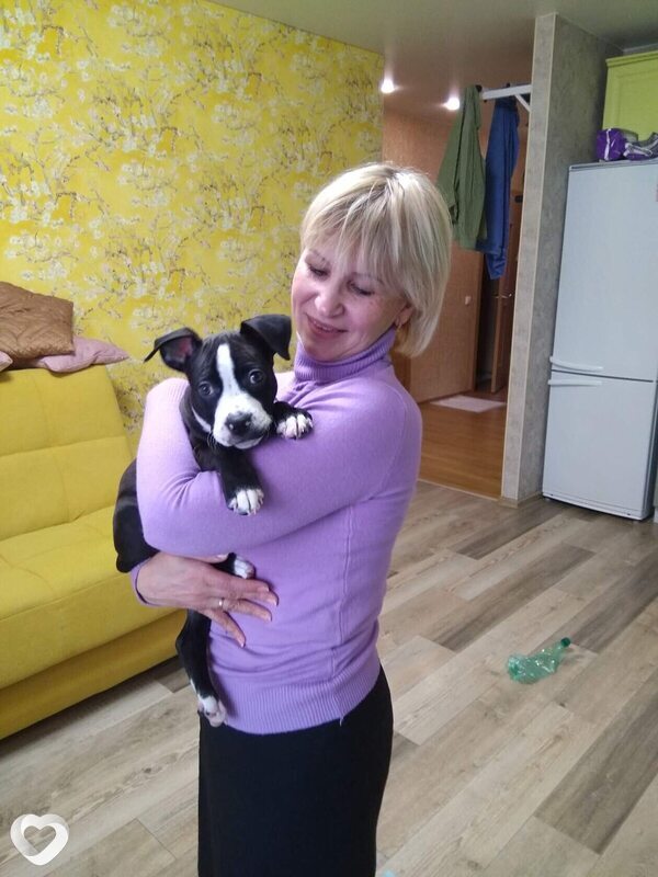 Роза