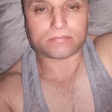 Давид