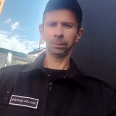 Давид