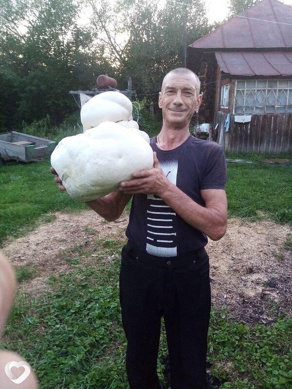 Вячеслав