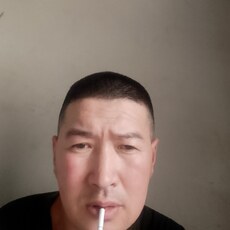 Тим