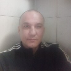 Миша