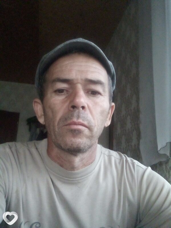 Лев
