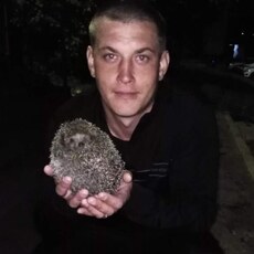Мотя