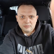 Всеволод