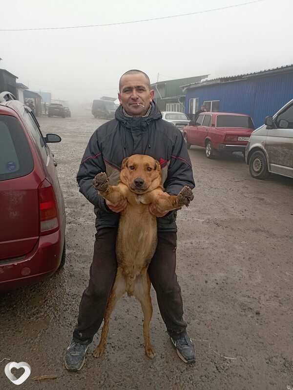 Денис