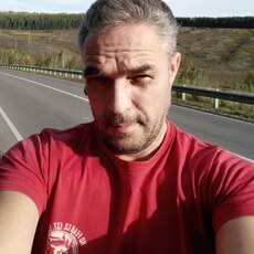 Давид