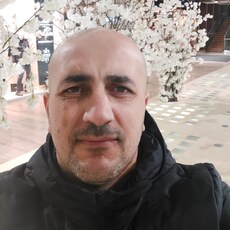 Давид