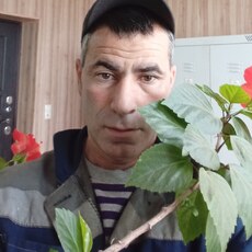 Вова