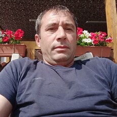 Давид
