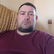 Гаврик