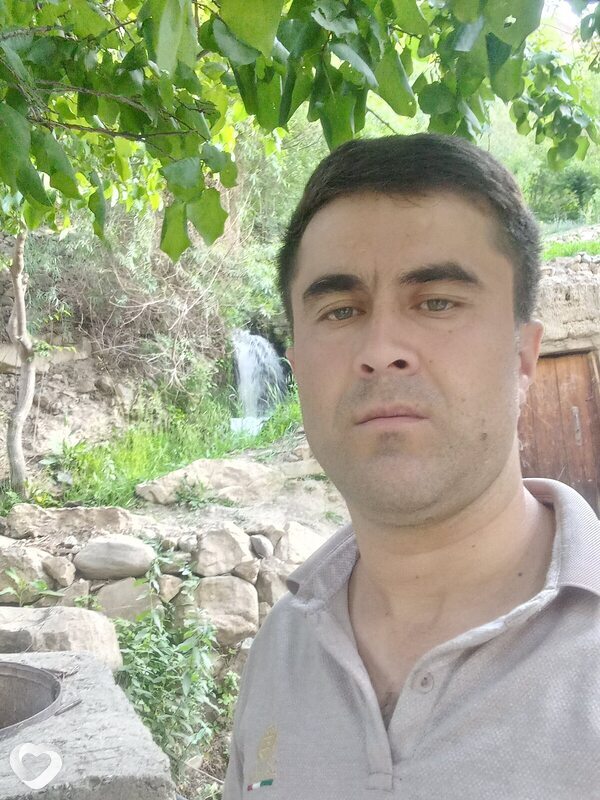Альбик