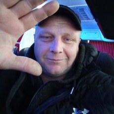 Давидик
