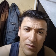 Давид