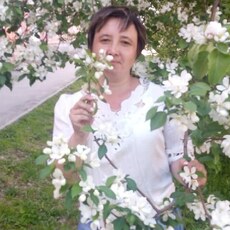 Лилия