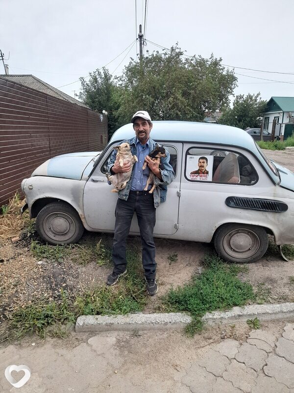 Сеня