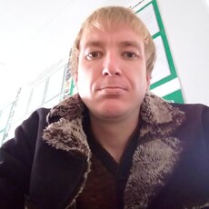 Тим