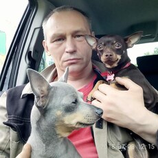 Гаврик