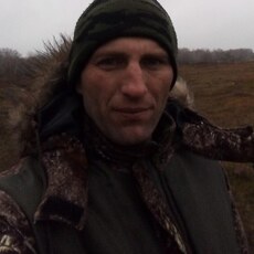 Альбик