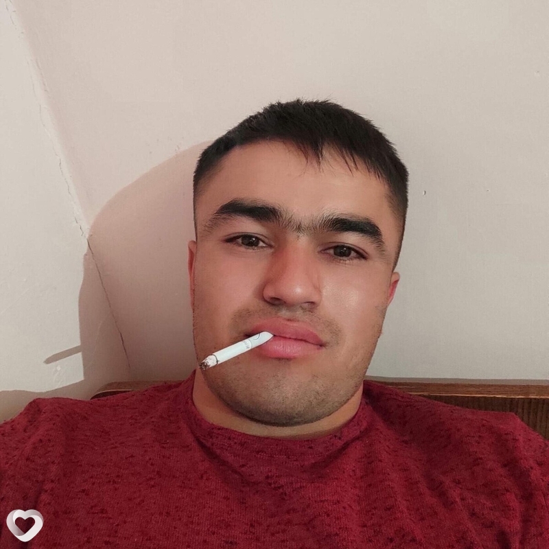 Лев