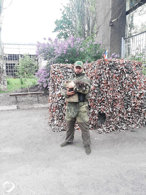 Марк