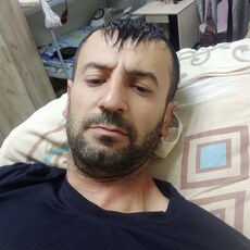 Миша
