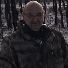 Гаврик
