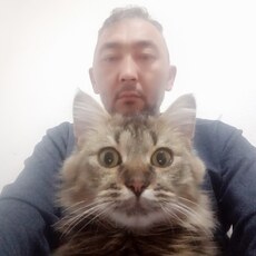 Прохор