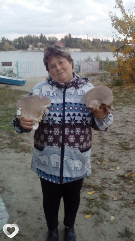 Эвелина