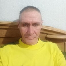 Давид