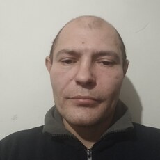 Альбик