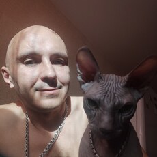 Кир
