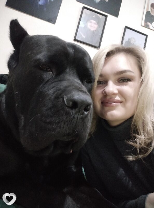 Нэса