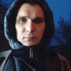 Давид