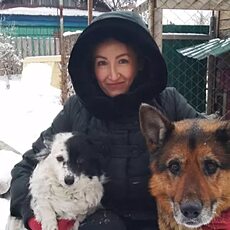Влада