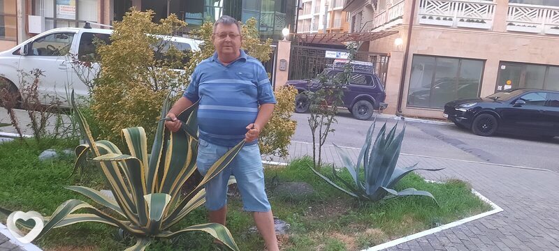Родион