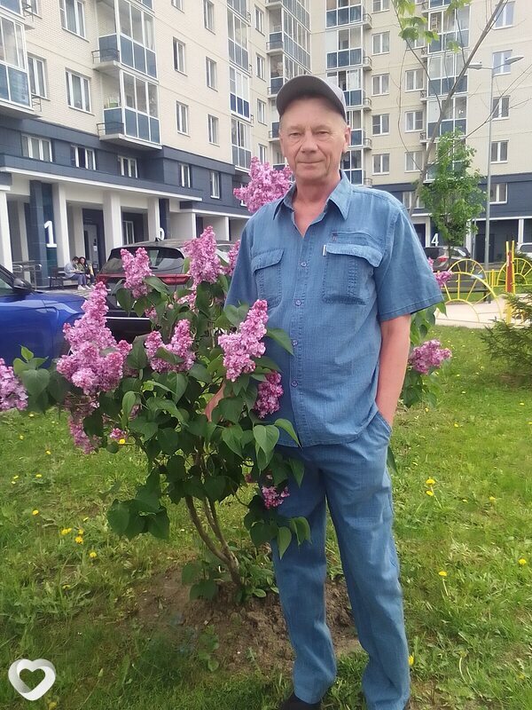 Стёпа