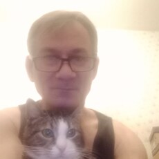 Платоша