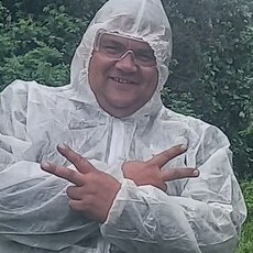 Альберт