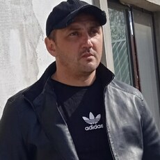 Лев
