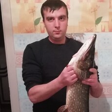 Альбик