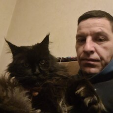 Арсений