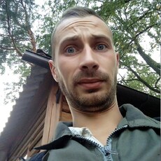 Альбик