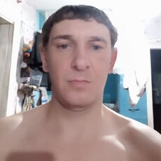 Стёпа