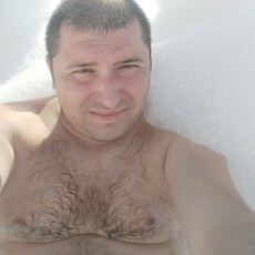 Давид